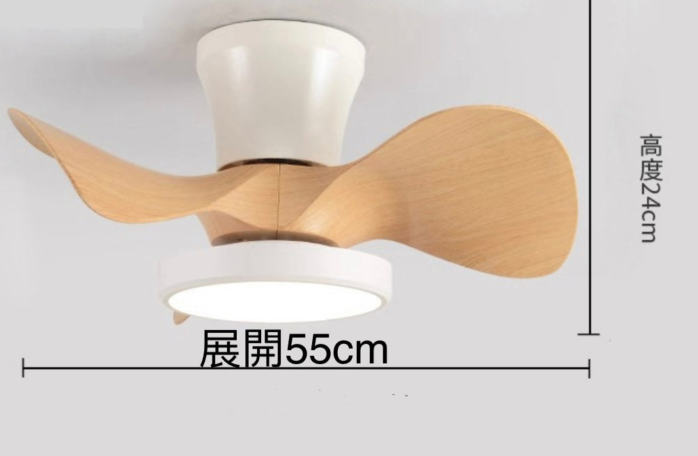 24-inch Ceiling Fan with Light