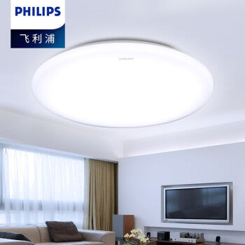 PHILIPS飛利浦60281吸頂燈-若欣 20W 17W 10W LED Ceiling