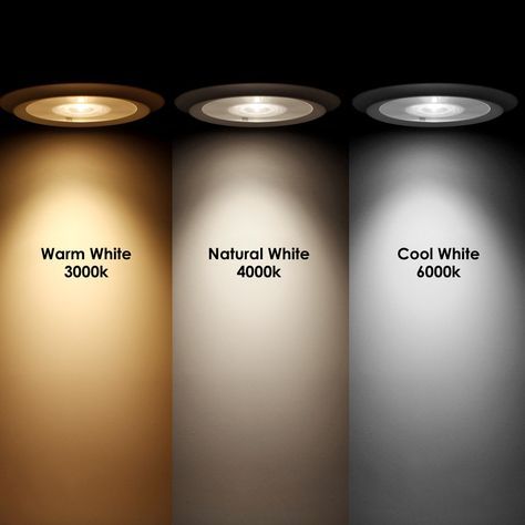 Philips BVP150 70W LED投光燈 泛光燈