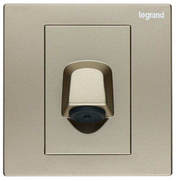 Legrand Galion 羅格朗 香檳金 掣面/燈掣開關/插蘇掣