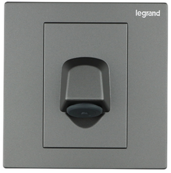 Legrand Galion 羅格朗 深沙銀 掣面/燈掣開關/插蘇掣