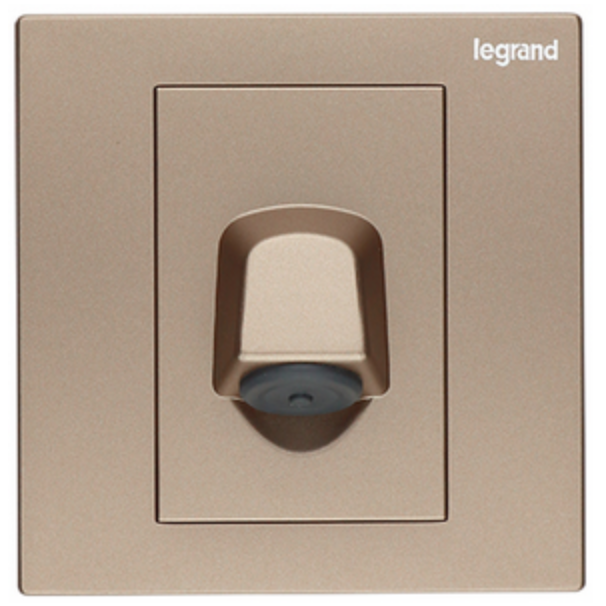 Legrand Galion 羅格朗 玫瑰金 掣面/燈掣開關/插蘇掣