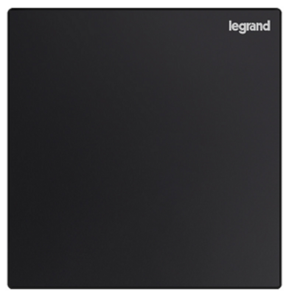 Legrand Galion 羅格朗 碳素黑 掣面/燈掣開關/插蘇掣