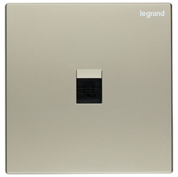 Legrand Galion 羅格朗 香檳金 掣面/燈掣開關/插蘇掣