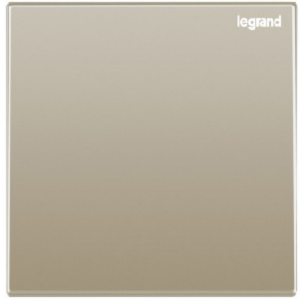 Legrand Galion 羅格朗 香檳金 掣面/燈掣開關/插蘇掣