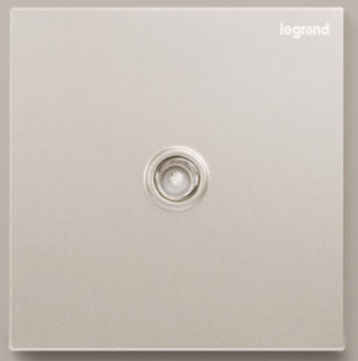 Legrand Galion 羅格朗 香檳金 掣面/燈掣開關/插蘇掣