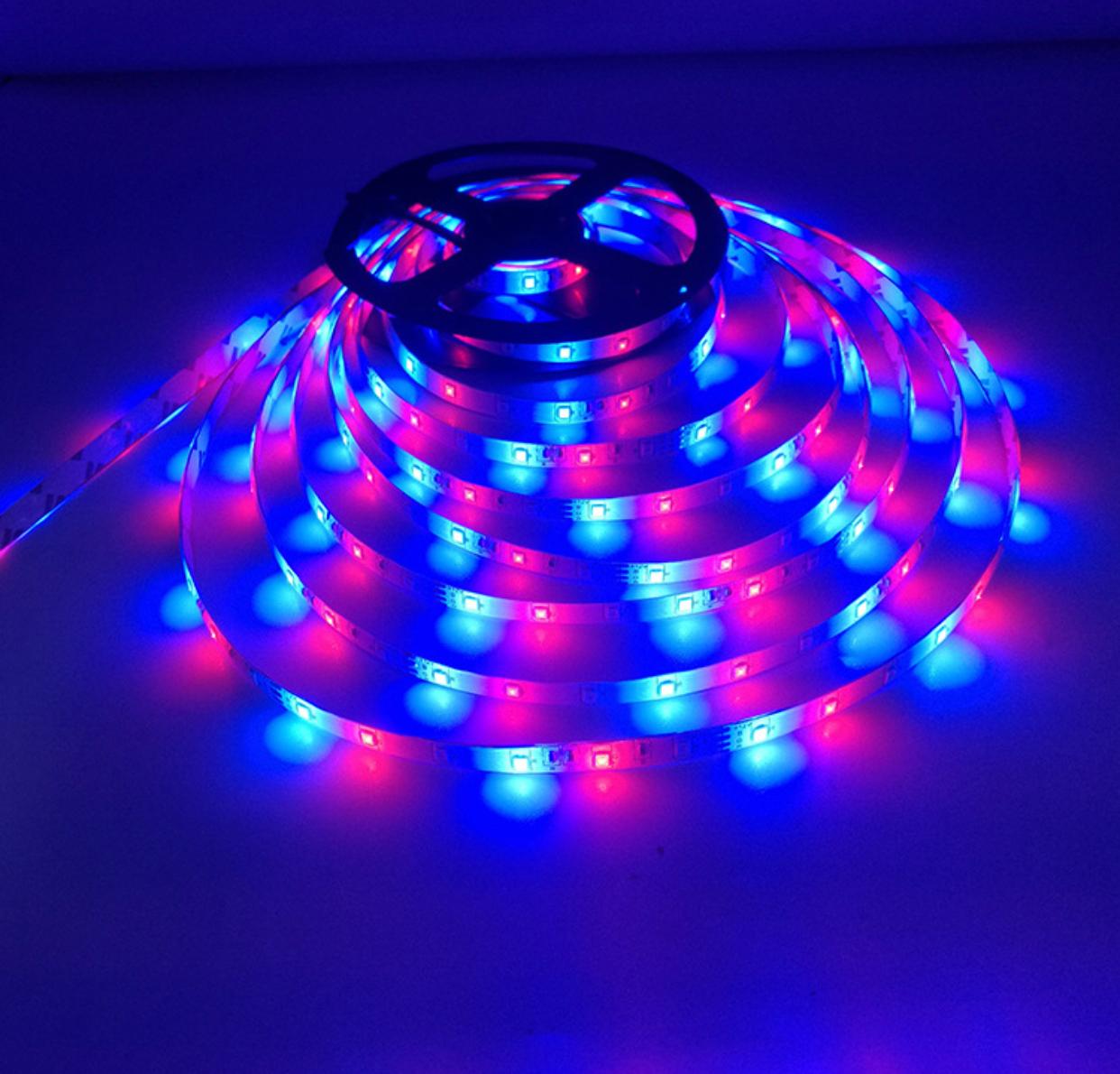 RGB燈帶套裝 12V 5米/包控制器/火牛/遙控 AMAZON同款