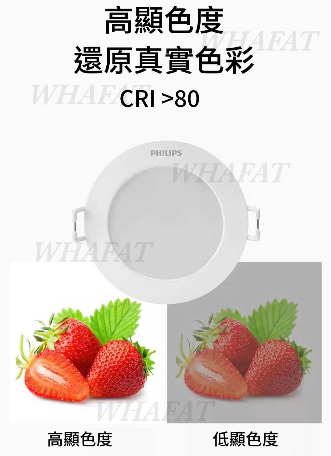 Philips Meson 筒燈 6w 9w 13w 17w 21w
