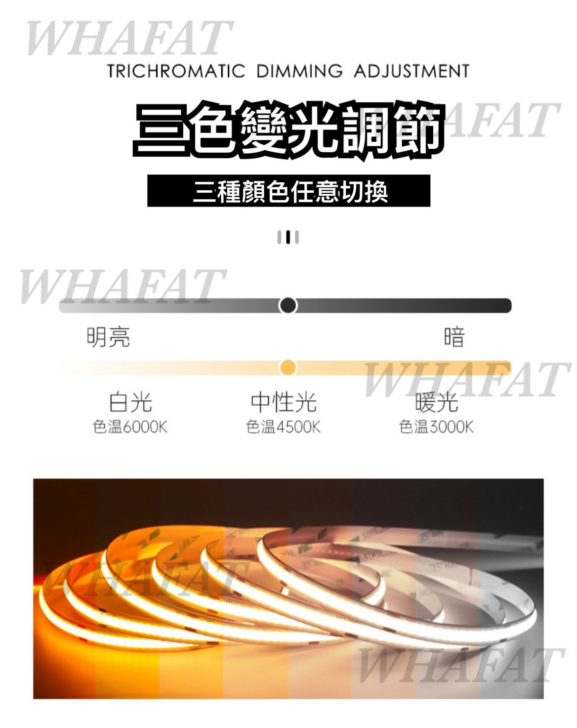 智能家居-Svitac-24v雙色COB燈帶/控制器/火牛/遙控(需預訂)