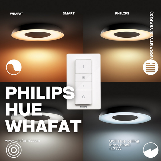 Philip飛利浦Still Hue ceiling lamp black 1x27W
（需預訂一至兩日）