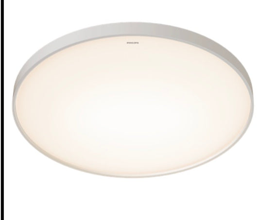 Philips 飛利浦 ZX307 JIANGYUE RD 600 / RD 770 Ceiling LED W (60W / 110W)