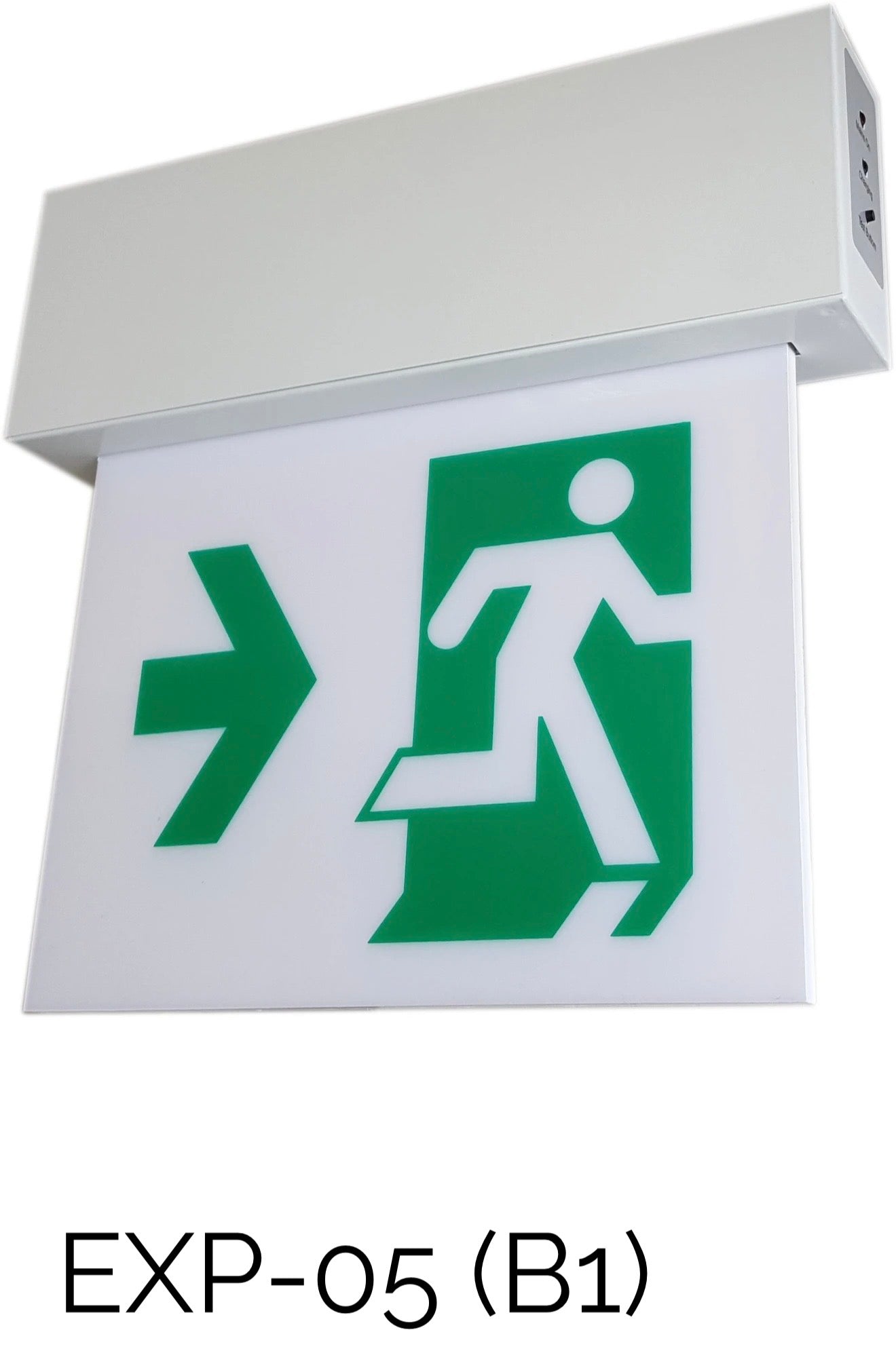 Luxtron 應急產品系列