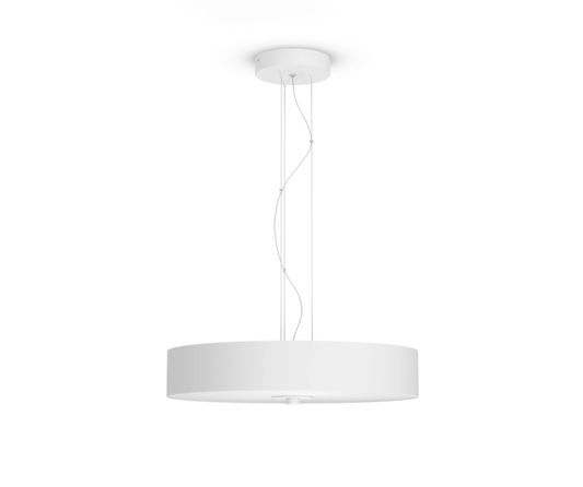 Philips Fair Hue pendant black 1x33.5W 24V (Pre-order 1-2 days)